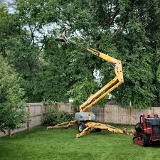 Mulching Services in Trenton, TN